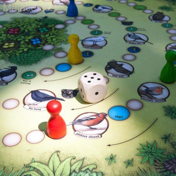 Lucie Ernestová 4 PŘÍRODOVĚDNÉ HRY