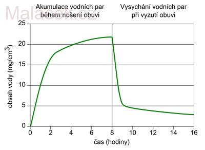 Stélka Cambrella - celoroční VEL. 41