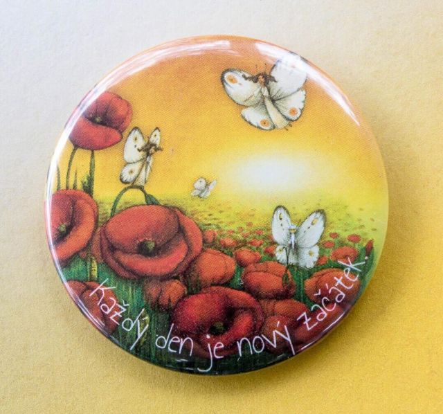 Lucie Ernestová Zrcátko Proměnlivost