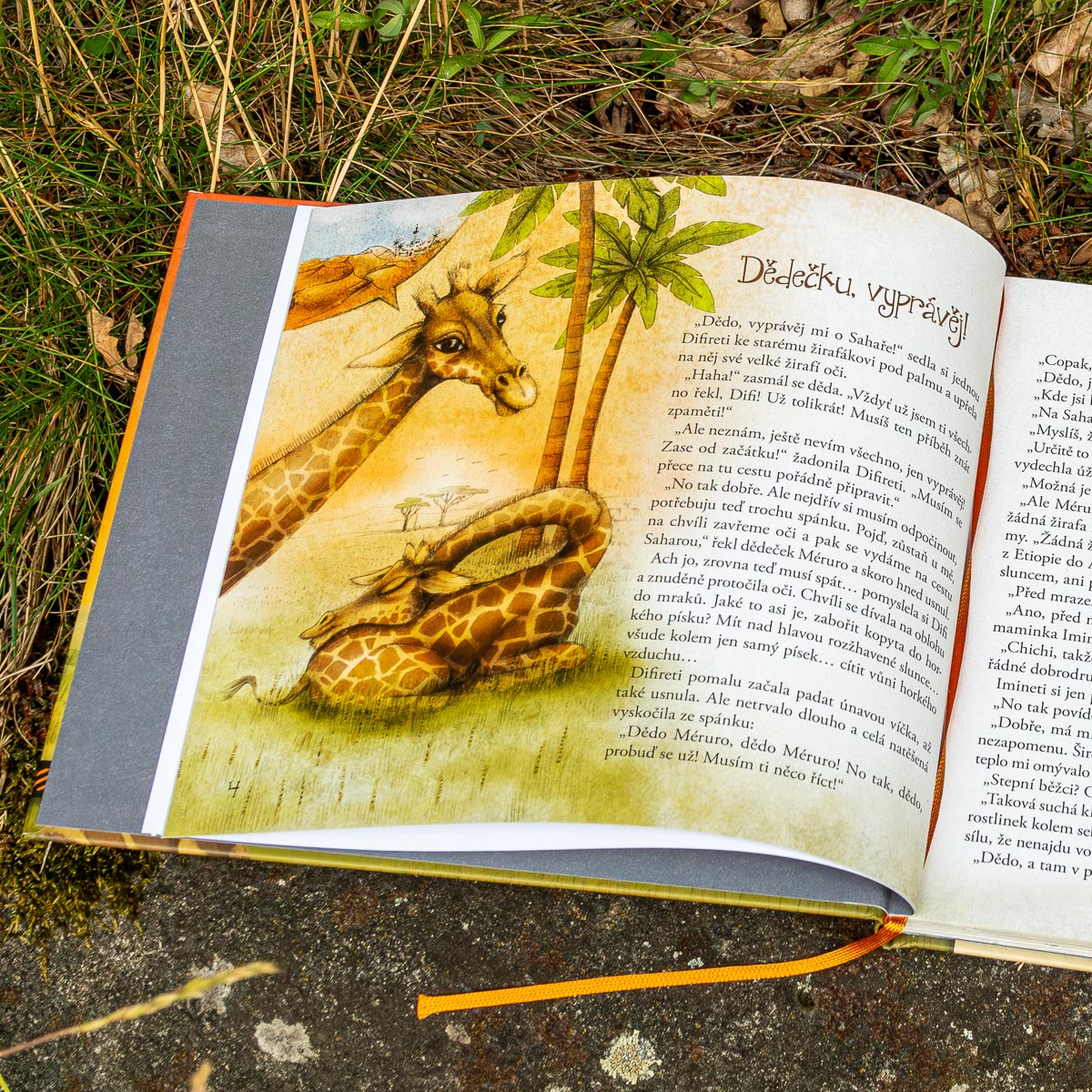 Kniha Odvážná Difireti, Barbora Hamblin, ilustrace Lucie Ernestová