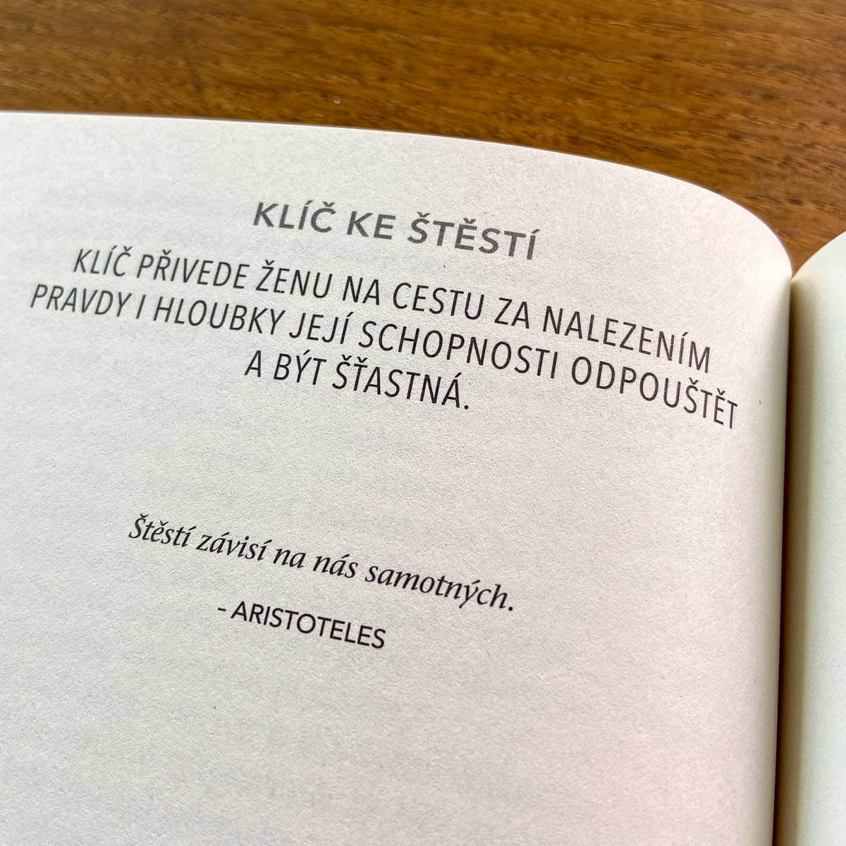 Kniha Příběhy štěstí, Will Bowen